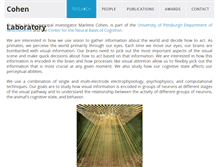 Tablet Screenshot of cohenlab.com